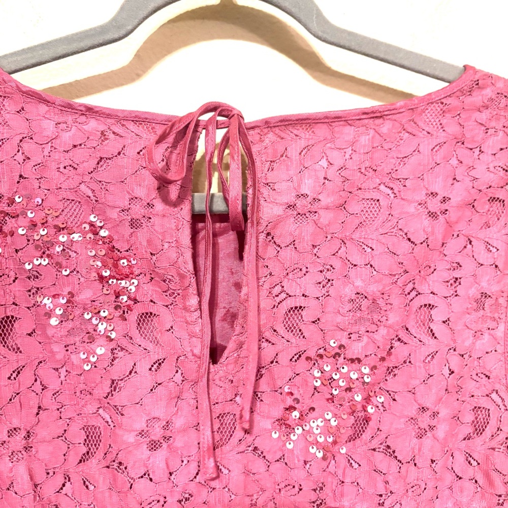 Anthropologie Dusty Rose Soraya Sequined Blouse Sz 10 - Picture 8 of 12